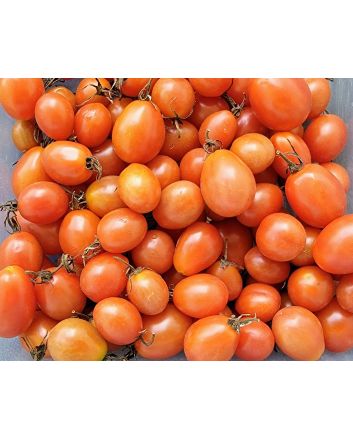 Tomato 'Sprite' Seeds (Naturally Grown)