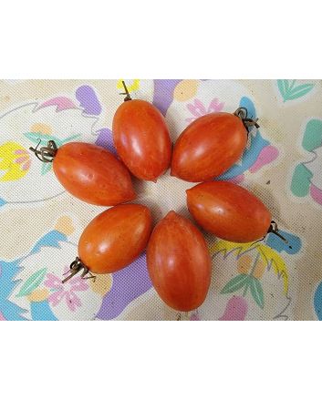 Tomato 'Matt's Folly' Seeds (Naturally Grown)
