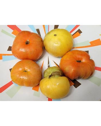 Tomato 'Project Grow Gold' Seeds (Naturally Grown)
