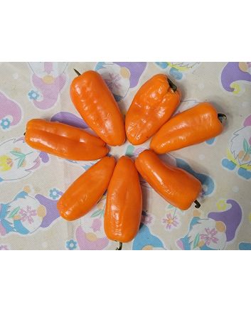 Sweet Pepper 'Lunch Box Orange' Seeds (Naturally Grown)