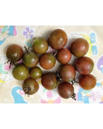 Tomato 'Negro Azteca' Seeds (Naturally Grown)
