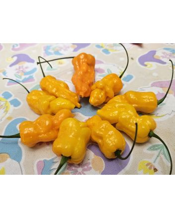 Hot Pepper 'Golden Slimer' Seeds (Naturally Grown)