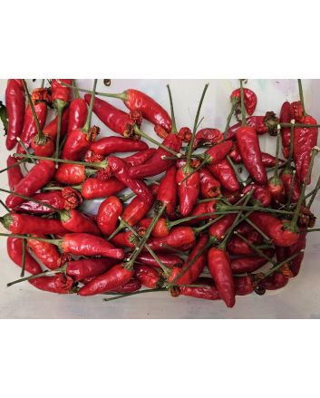 Hot Pepper 'Thai Dragon' Seeds (Naturally Grown)