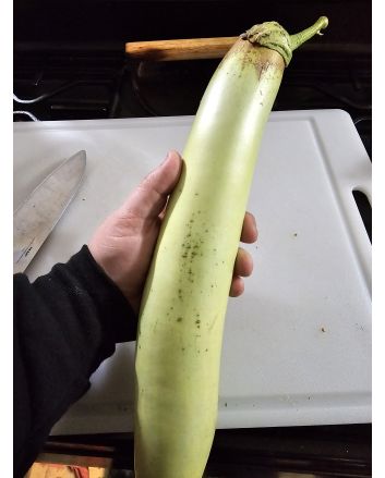 Eggplant 'Thai Long Green’ Seeds (Certified Organic)