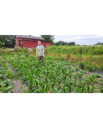 'Melinda's Mini Blue Popcorn' Corn Seeds