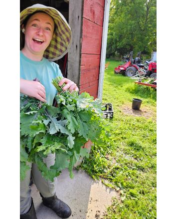 Kale 'Red Russian' Seeds (Naturally Grown)
