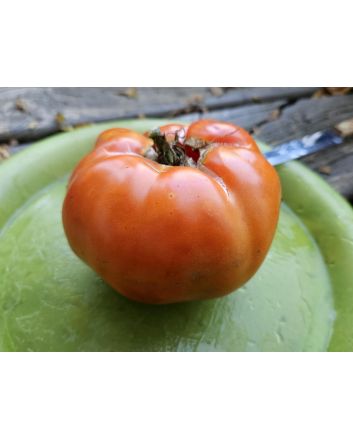 Tomato 'Italian Beefsteak' Seeds (Naturally Grown)