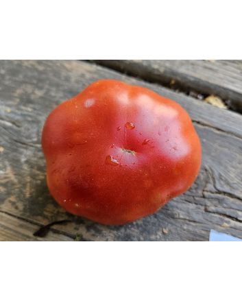 Tomato 'Super Marmande' Seeds (Naturally Grown)