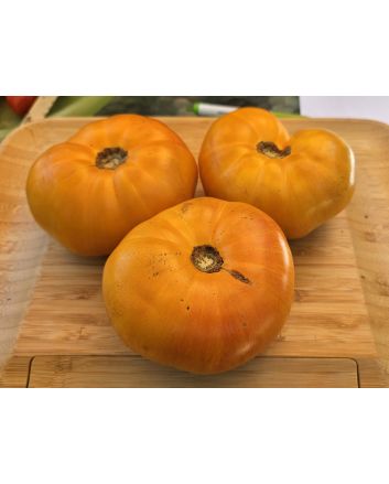 Tomato 'Plan 9 From Outer Space' Seeds (Naturally Grown)