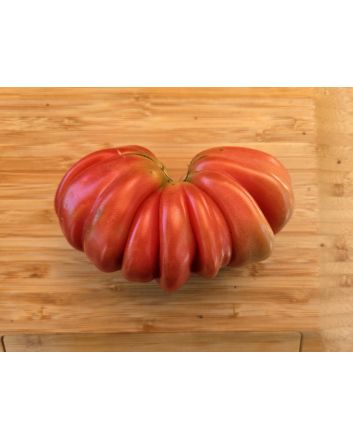 Tomato 'Zapotec Pleated' Seeds (Naturally Grown)