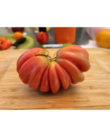 Tomato 'Zapotec Pleated' Seeds (Naturally Grown)