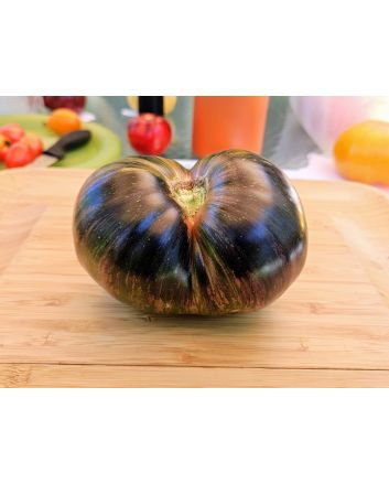 Tomato 'Marsha's Starfighter' Seeds (Naturally Grown)
