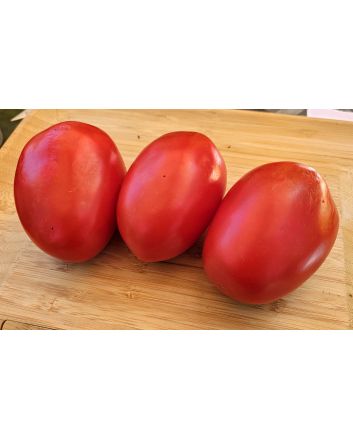 Tomato 'State Fair Beefy Pastes' Seeds (Certified Organic)
