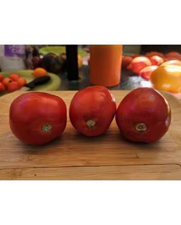 Tomato 'State Fair Beefy Pastes' Seeds (Certified Organic)