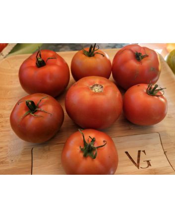 Tomato 'Roman Red' Seeds (Naturally Grown)