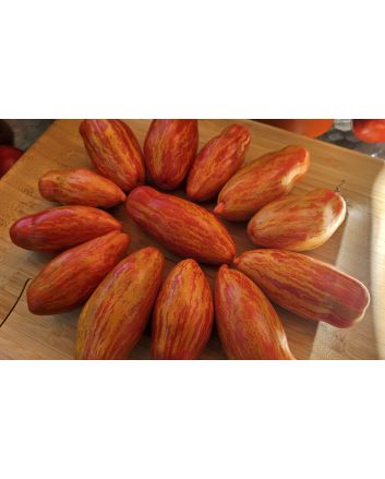 Tomato 'Yellow Tulip' Seeds (Naturally Grown)
