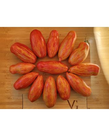 Tomato 'Yellow Tulip' Seeds (Naturally Grown)