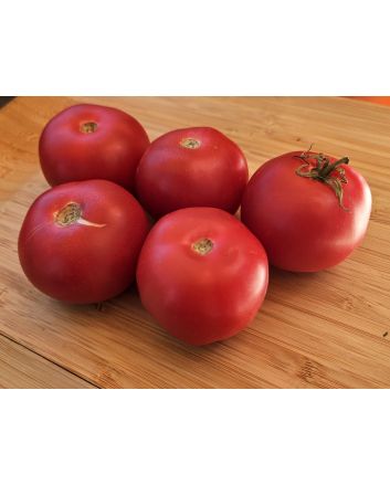 Tomato 'Bola Macizo' Seeds (Naturally Grown)