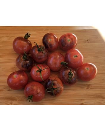Tomato 'Dancing with Smurfs' Seeds (Naturally Grown)