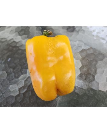 Sweet Pepper ‘Yellow Bell’ Seeds (Certified Organic)