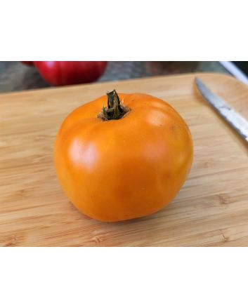 Tomato 'Sunny Goliath Jubilee' Seeds (Naturally Grown)