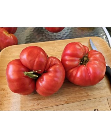 Dwarf Tomato 'Snakebite' Seeds (Naturally Grown)