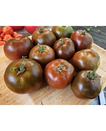 Tomato 'Crazy Horse' Seeds (Naturally Grown)