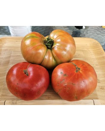 Tomato 'Beefmaster F2' Seeds (Naturally Grown)