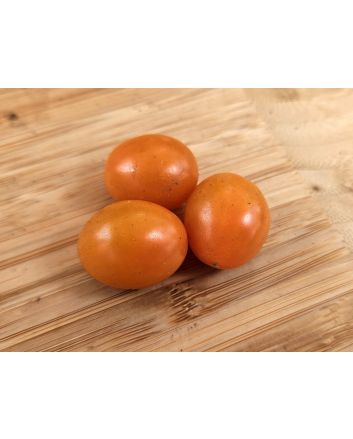 Tomato 'Mini Orange Oval TR' Seeds (Naturally Grown)