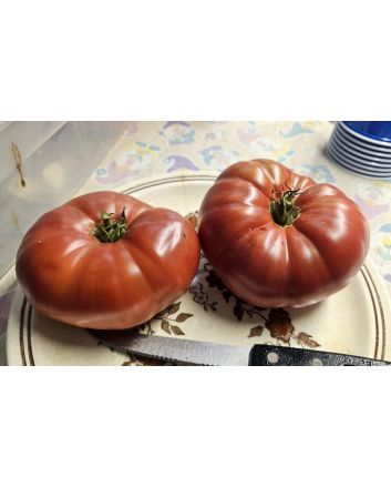Tomato 'Sarah Schwartz' Seeds (Naturally Grown)