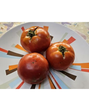 Tomato 'Boxcar Willie' Seeds (Naturally Grown)