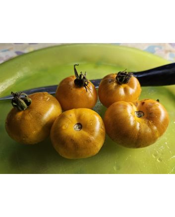 Tomato 'Jolie Coeur Yellow' Seeds (Naturally Grown)