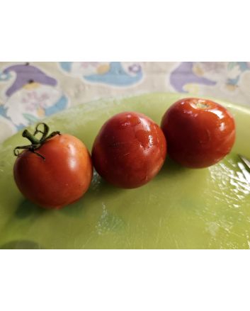 Tomato 'Clifford Red Cherry' Seeds (Certified Organic)