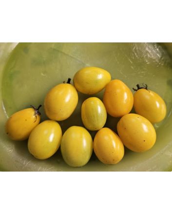 Tomato 'Chang Li' Seeds (Naturally Grown)