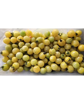 Tomato 'Lemon Drop' Seeds (Naturally Grown)