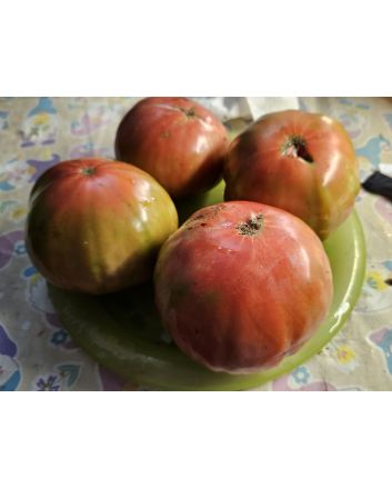Tomato 'Flathead Monster Pink' Seeds (Naturally Grown)