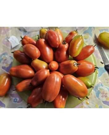 Tomato 'San Marzano Long 2' Seeds (Naturally Grown)