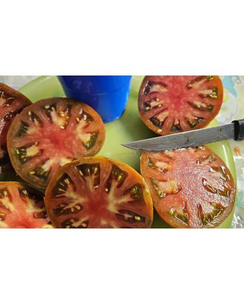 Tomato 'Everett's Rusty Brown' Seeds (Naturally Grown)