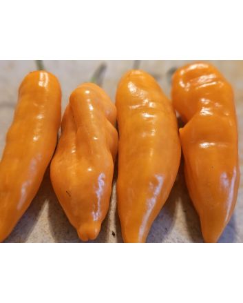Hot Pepper 'Lemon Drop Orange' Seeds (Naturally Grown)