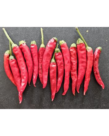 Hot Pepper 'Bird's Eye' Seeds (Naturally Grown) 