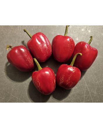 Hot Pepper ‘Dieghito Jalapeno’ Seeds (Naturally Grown)