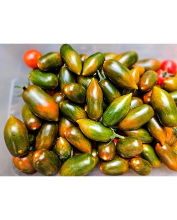 Tomato 'Emalia' Seeds