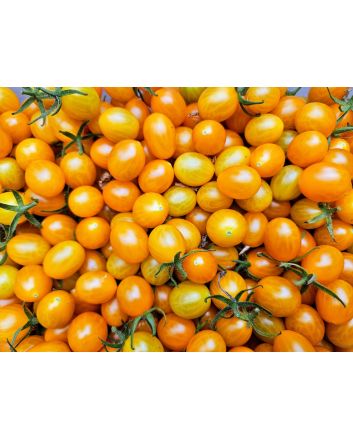 Tomato 'Galapagos Island' Seeds
