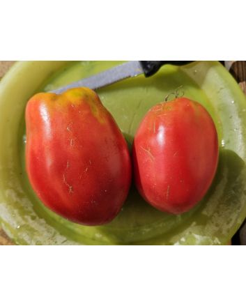 Tomato 'Tamara's San Marzano Pink Strain' Seeds (Certified Organic)