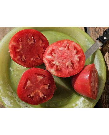 Tomato 'Tamara's San Marzano Pink Strain' Seeds (Certified Organic)