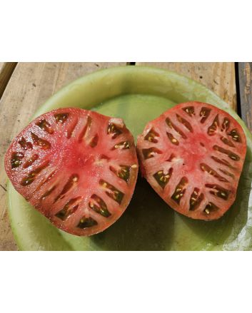 Tomato 'Rebel Starfighter Blane’s Moonlight' Seeds