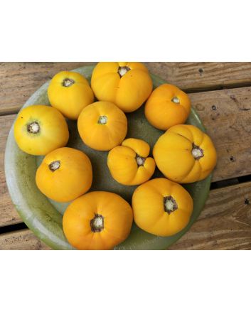 Tomato 'Yellow Fuzzy Boar' Seeds