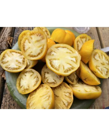 Tomato 'Yellow Fuzzy Boar' Seeds