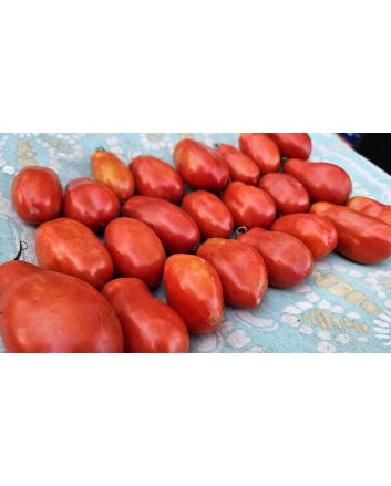 Tomato 'San Marzano' Seeds