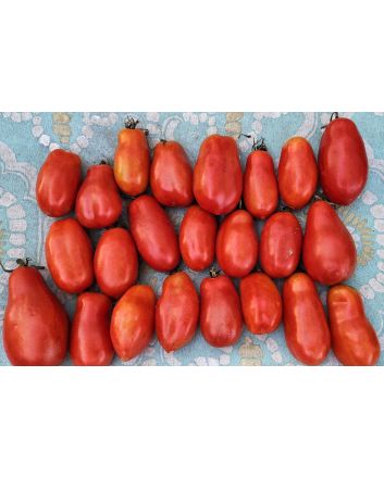 Tomato 'San Marzano' Seeds